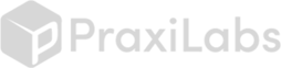 logo 6partners praxilabs